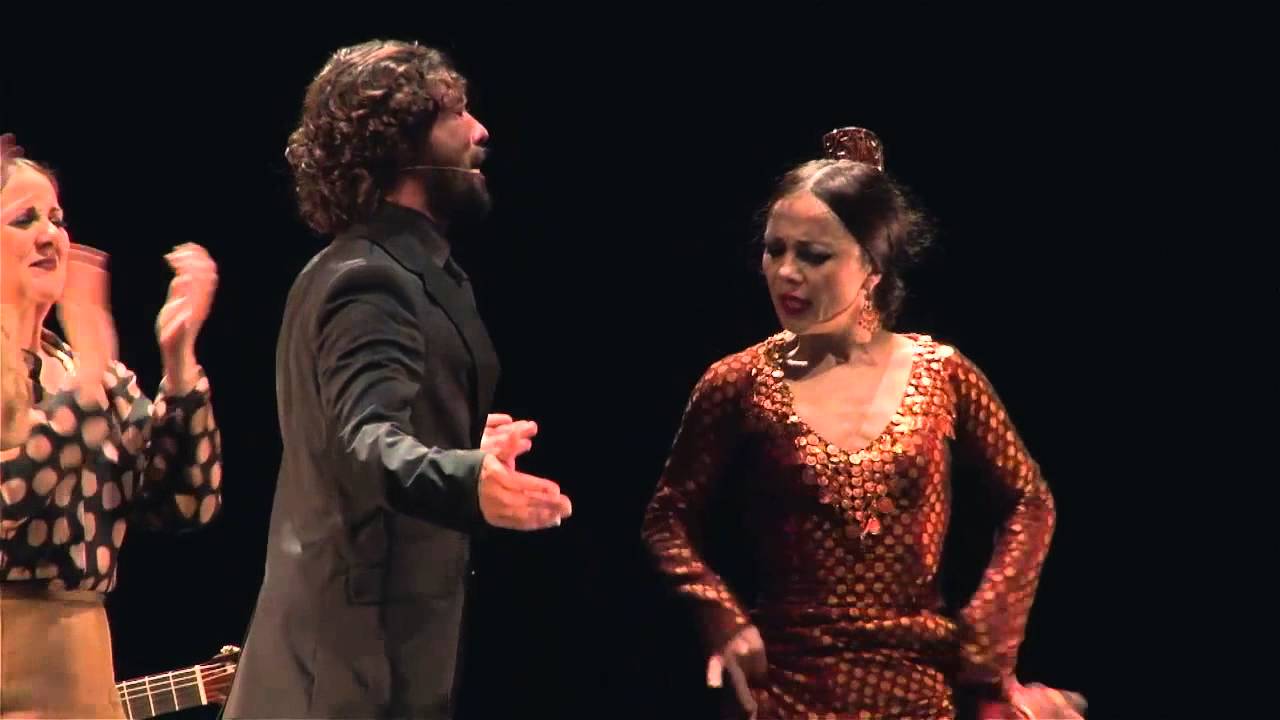 PISADAS , fin y principio de mujer / OLGA PERICET 2014