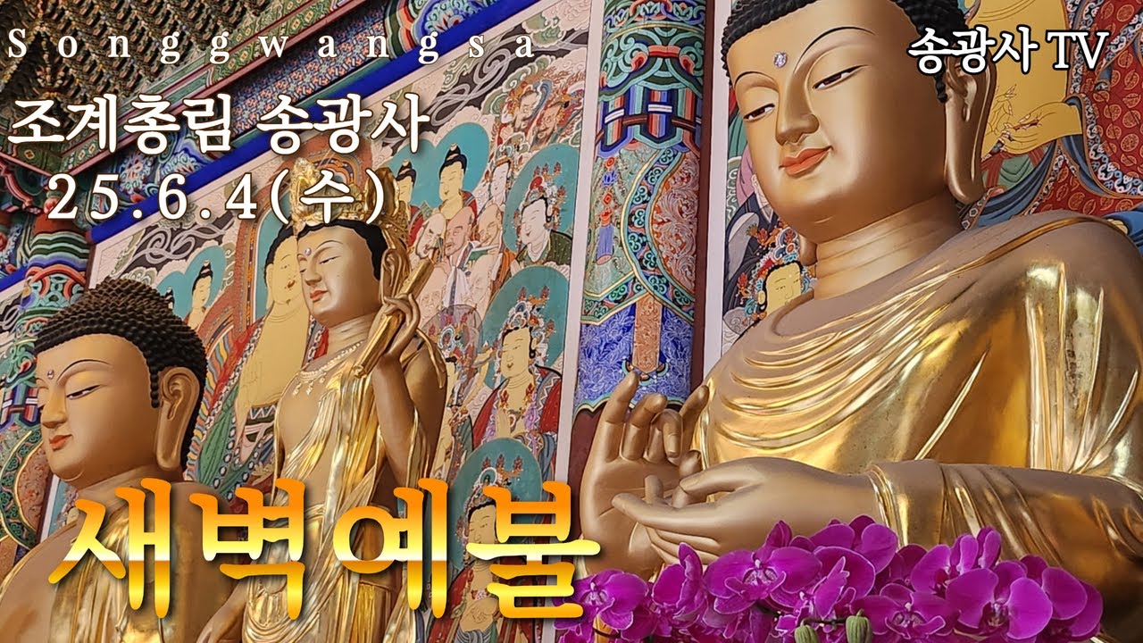 송광사 새벽예불 25.6.4