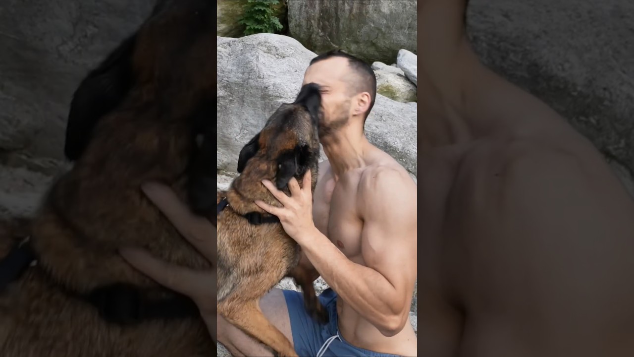 richiama il tuo cane cos&igrave; #elliedog #malinois #malinoismonday #belgamalinois #malin