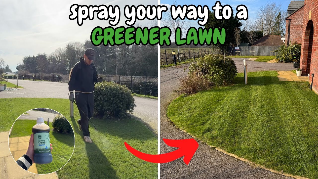 How to feed your lawn this March - Simple Lawn Care