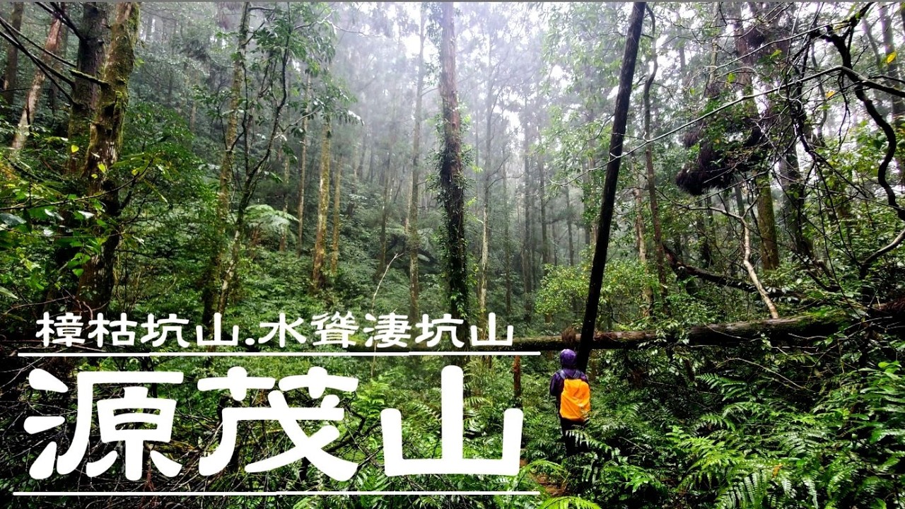 | 水聳淒坑山 | 源茂山 | 樟枯坑山 | 大湖尾聚落 |  爬山 ｜ 健行 ｜ 戶外運動 ｜ 郊山 ｜