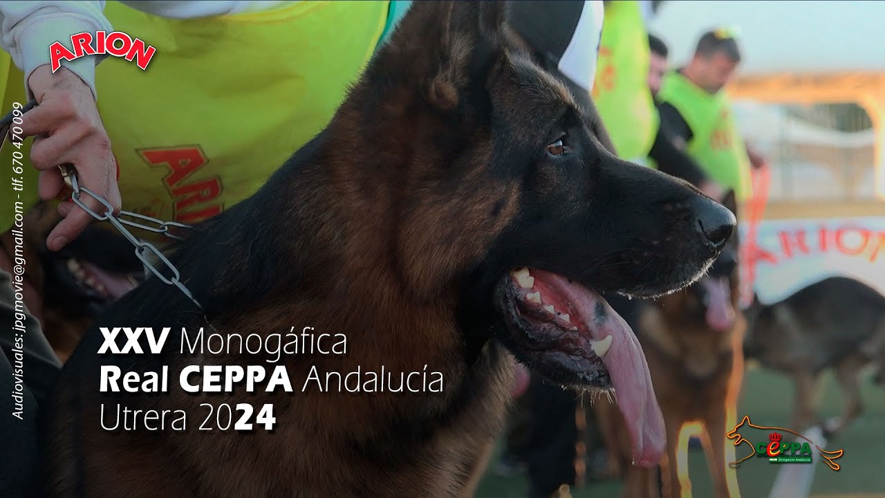 MONOGRÁFICA RCEPPA Andalucía   Utrera 2024