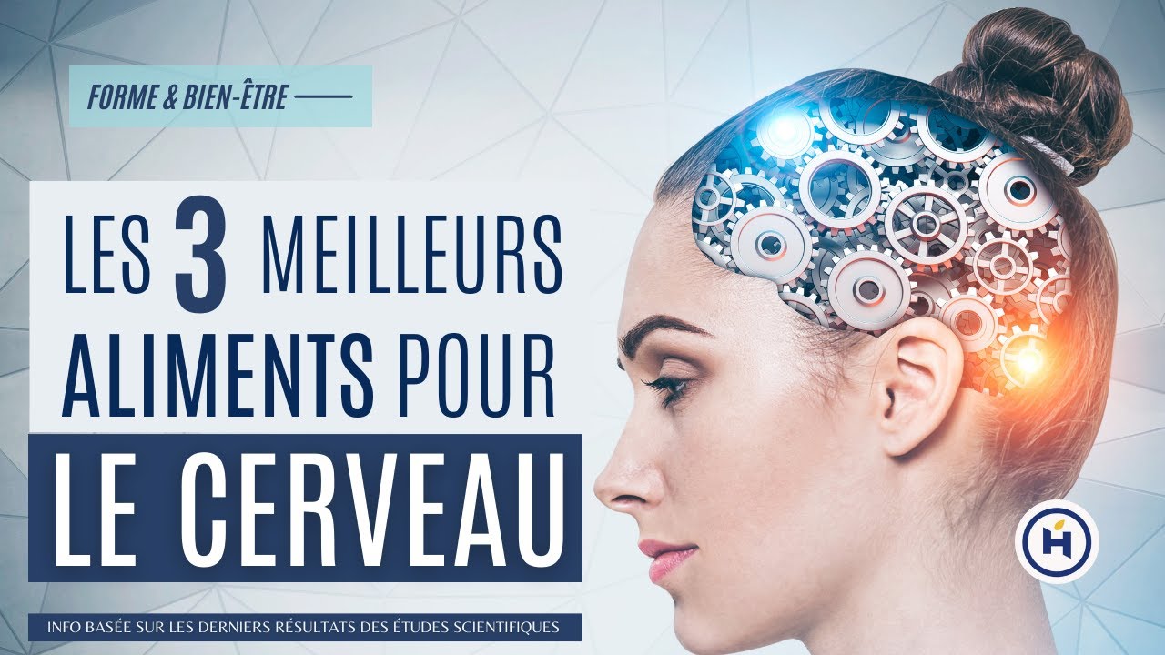 Les 3 Meilleurs Aliments Pour le Cerveau