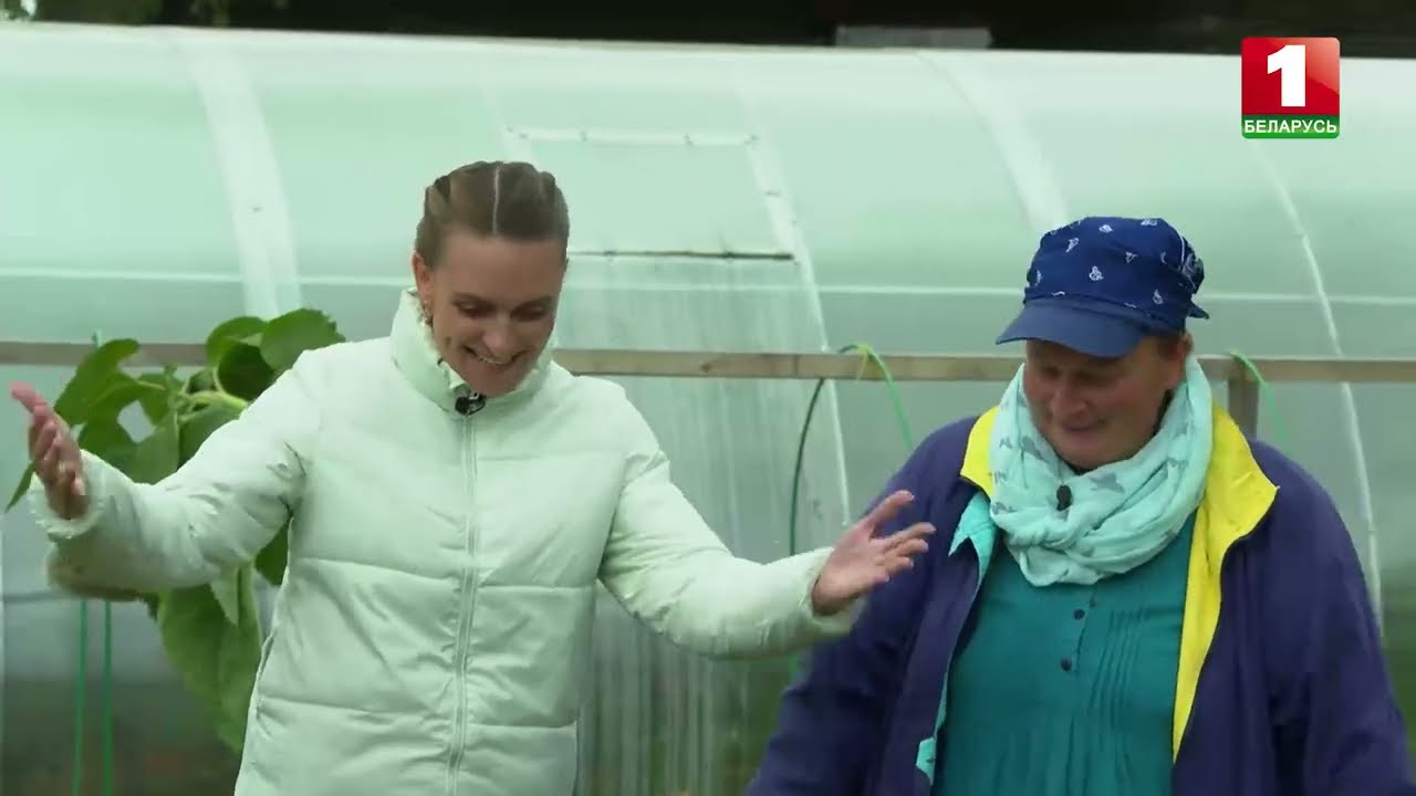 Картофель: как получить ведро с куста. Результат.