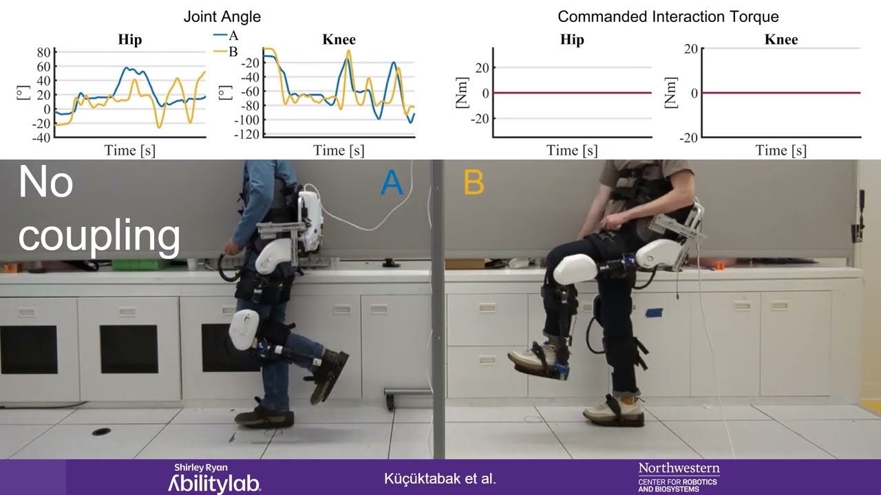 Virtual Physical Coupling of Two Lower-Limb Exoskeletons