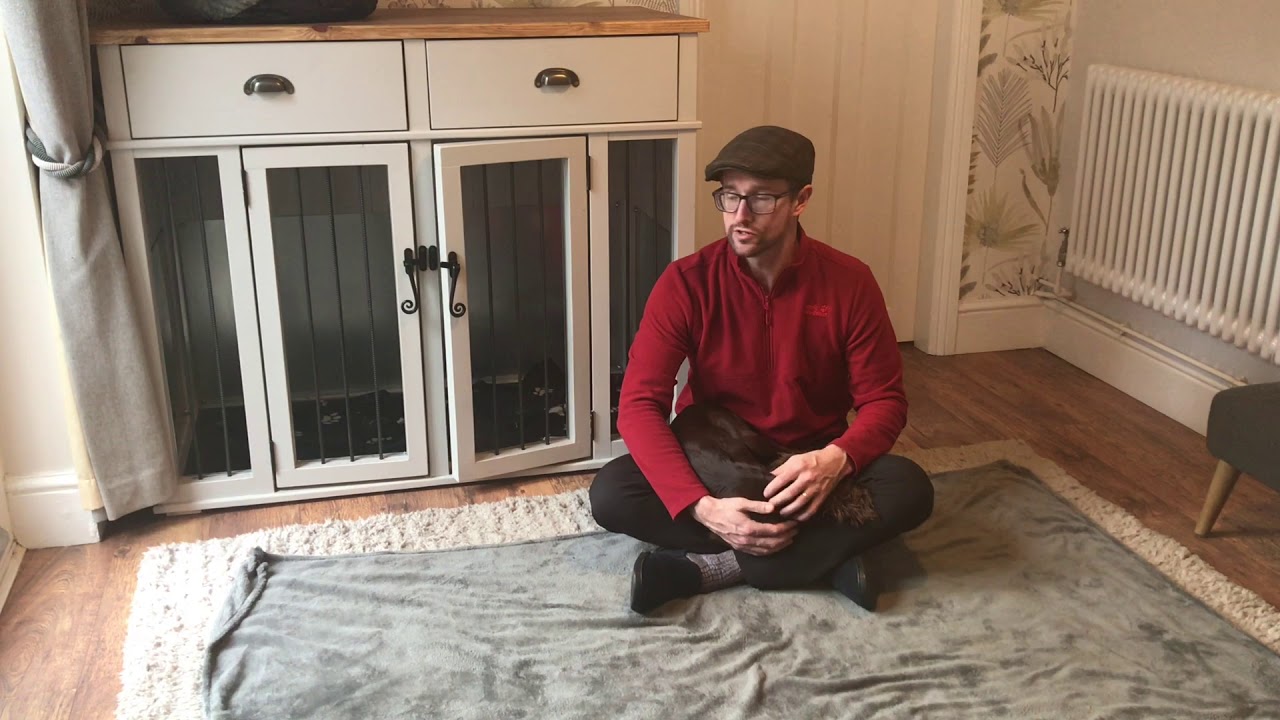Puppy’s first night in its new home - what to do