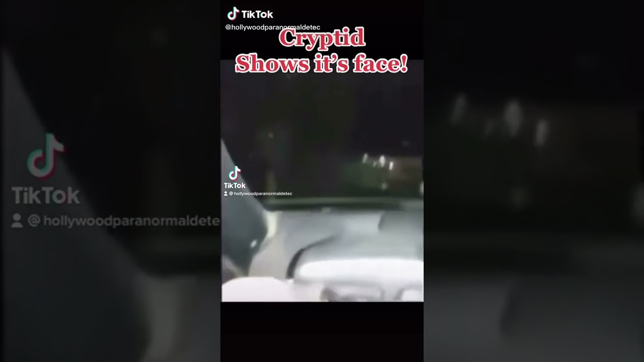 REAL DOG-MAN/WEREWOLF SIGHTING? See ending!