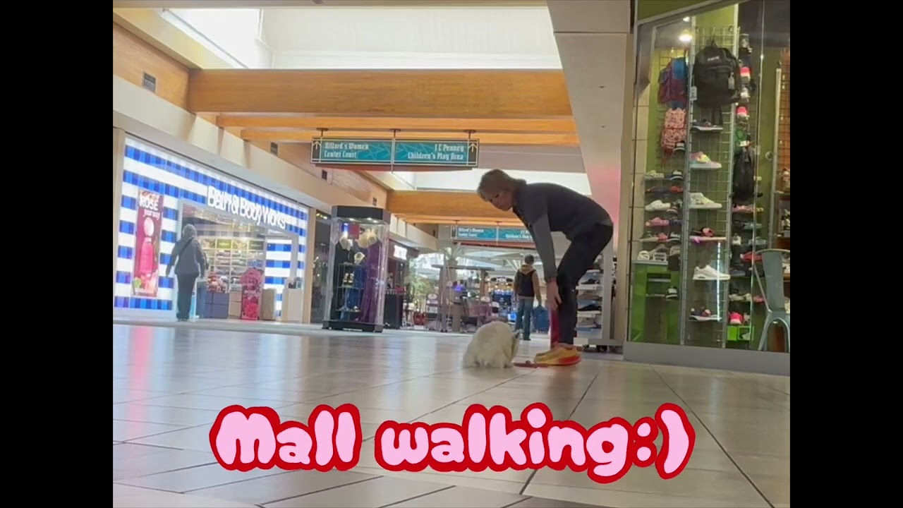 09 -. Pearl heads to the mall with Shelly Bayless @ik9trainers551 