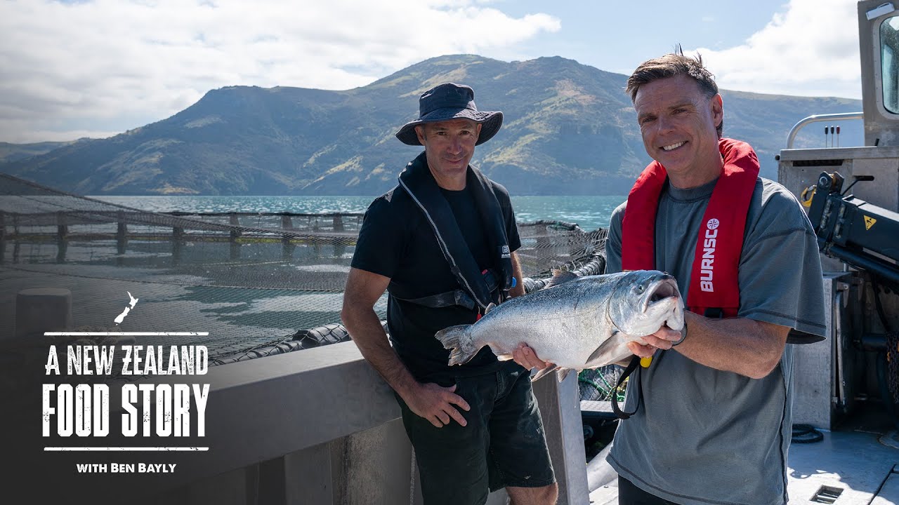 NZ Salmon in Akaroa . Healthy, versatile and committed to sustainability