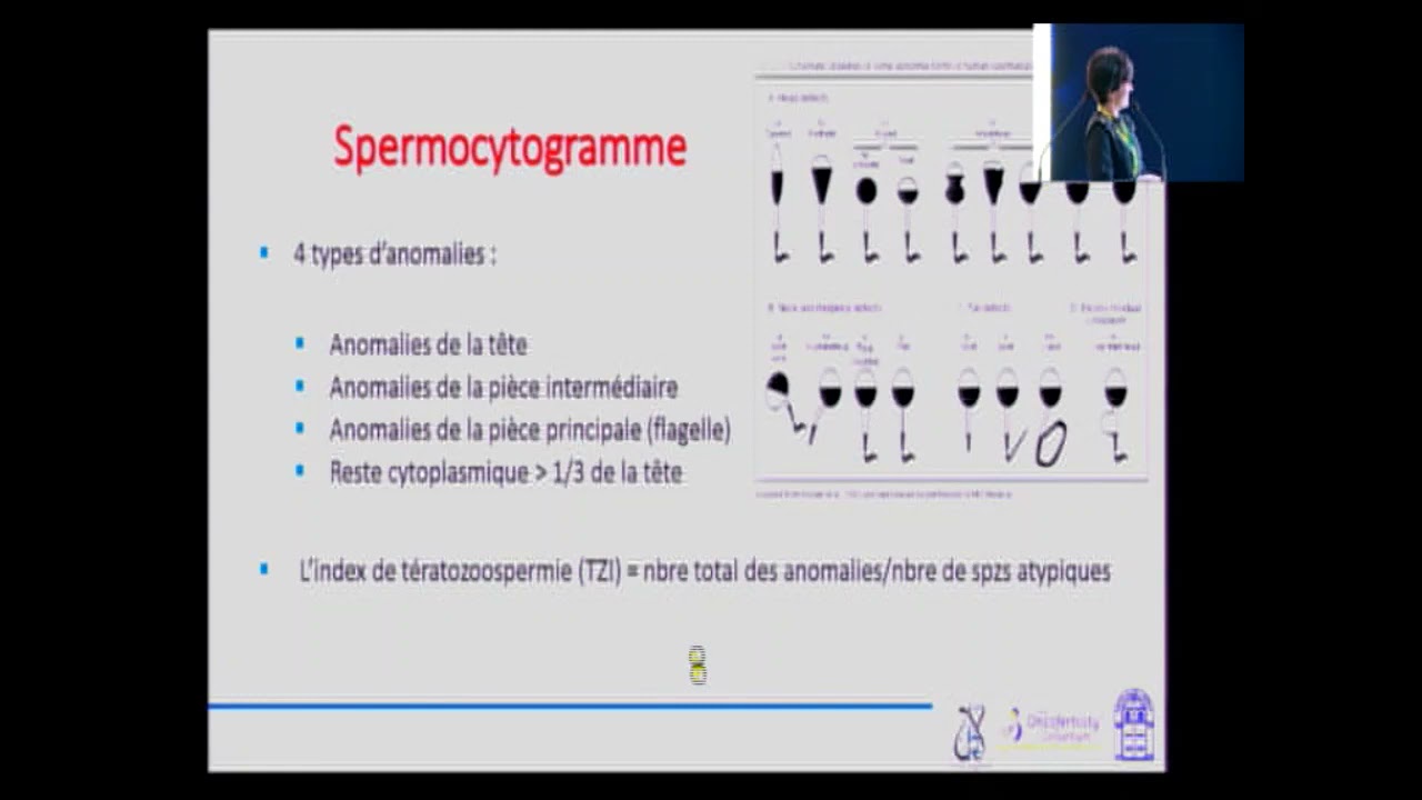29ème Congrès de la STGO: Fériel BERJEB Les explorations masculines en 1ère et 2ème intentions