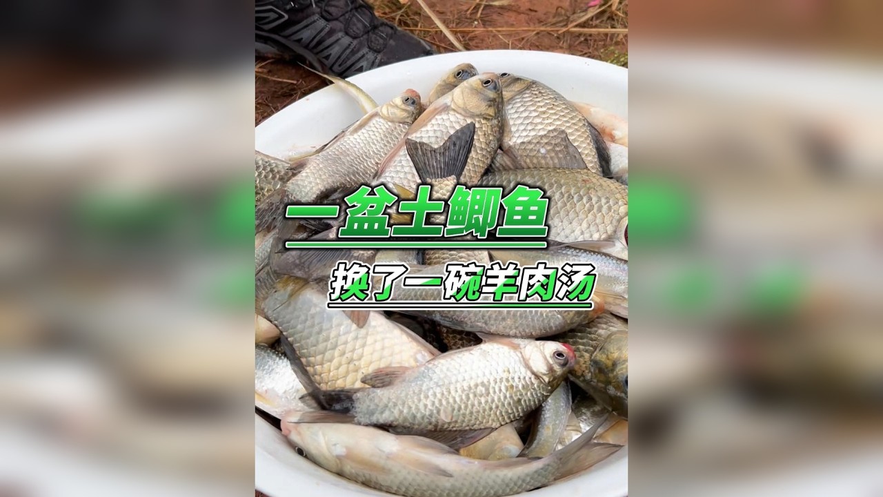 没用这个方法之前，不知道错过了多少大板鲫！