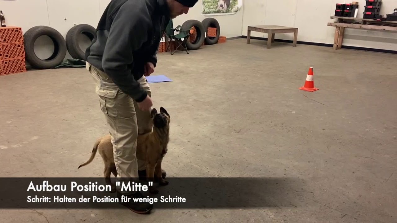 Functional Obedience