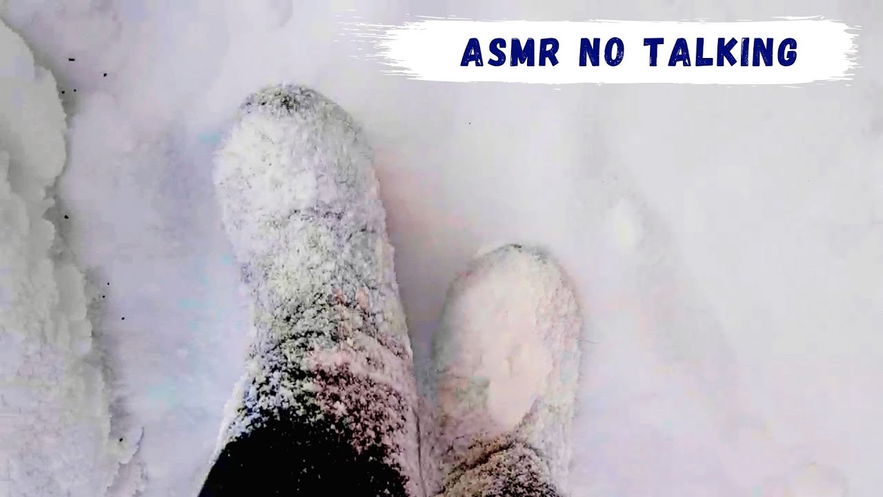 ASMR sounds for sleeping | 1 Hour Walking in Snow | Winter Walk by ASMR Garden