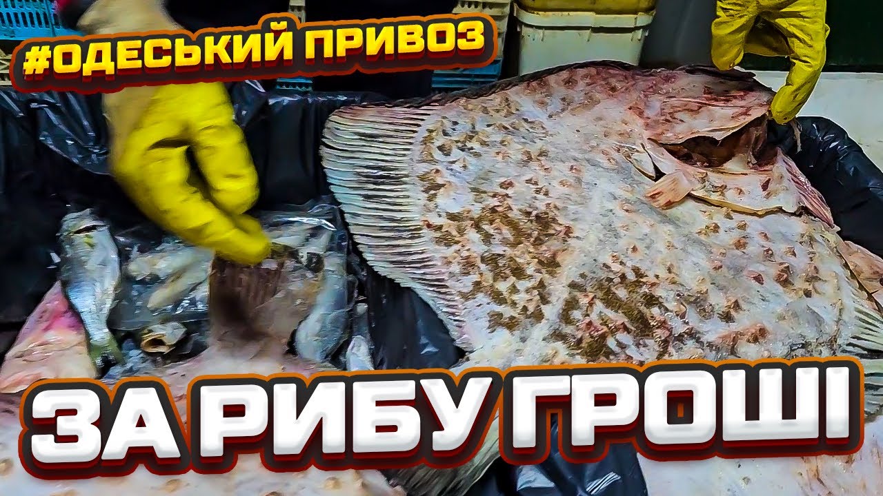 🐟 КАМБАЛА, СУДАК ТА ЩУКА 🦀 СКІЛЬКИ КОШТУЄ РИБА НА ОДЕСЬКОМУ ПРИВОЗІ? ⚓️ ОГЛЯД 29.01.2025 🦐