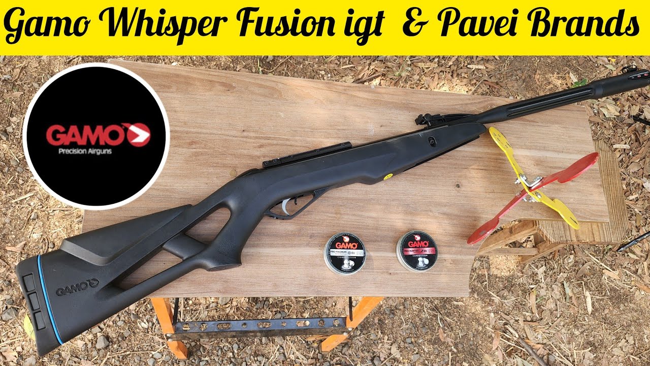 TESTE DE PRECISÃO: GAMO WHINSPER FUSION IGT 5.5 GAS RAM 60KG CHUMBOS GAMO PRO HUNTER E PRO MAGNUM