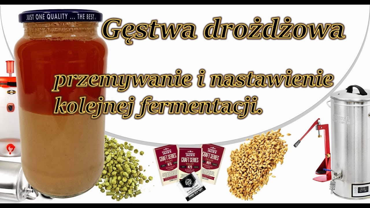 Gęstwa drożdżowa – przemywanie gęstwy, jak wystartować fermentację