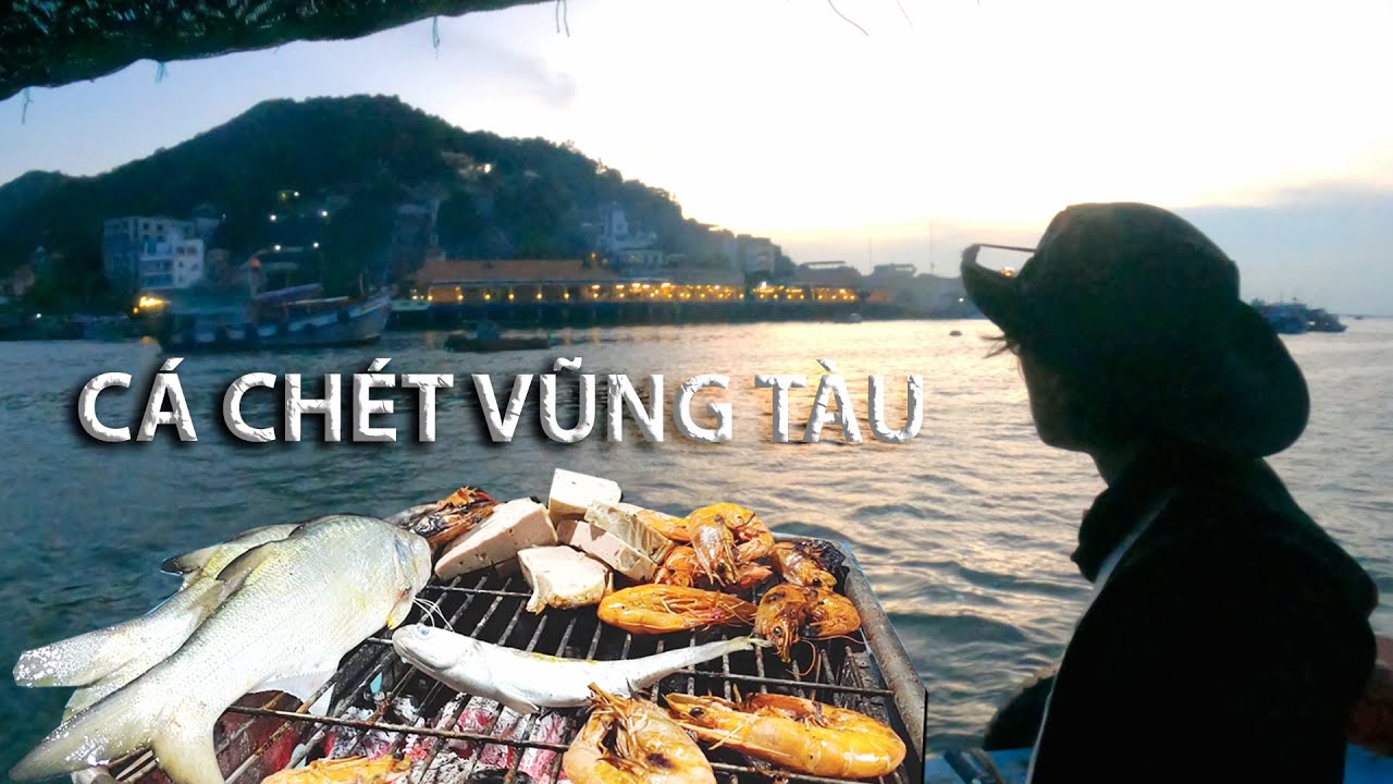 CÂU CÁ CHÉT ĐÊM TẠI VŨNG TÀU