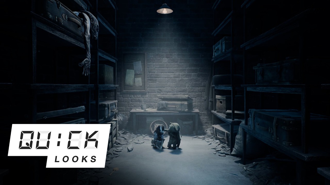 A Quick Look at REANIMAL