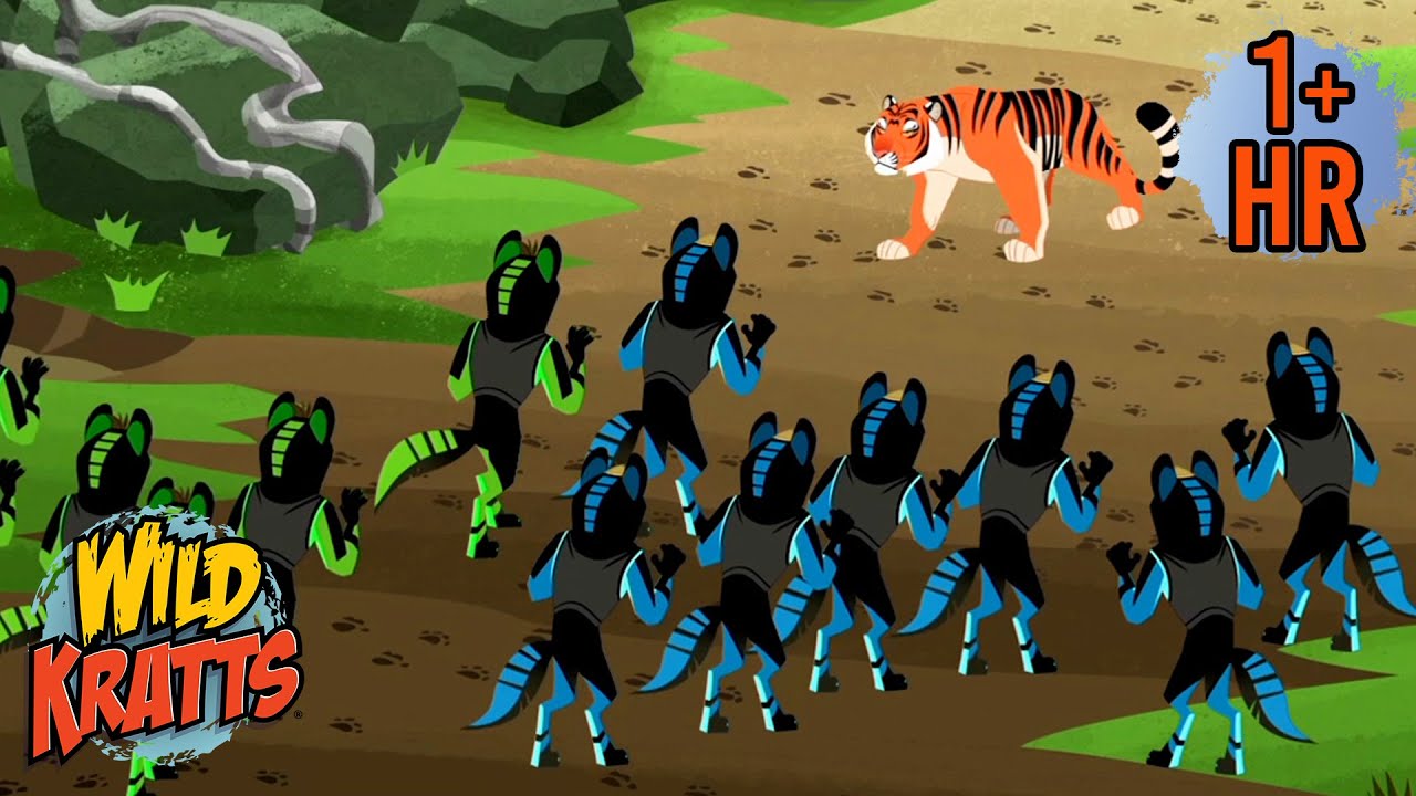 Duplicated Dholes Take on a Tiger | Creature Rescues | Wild Kratts
