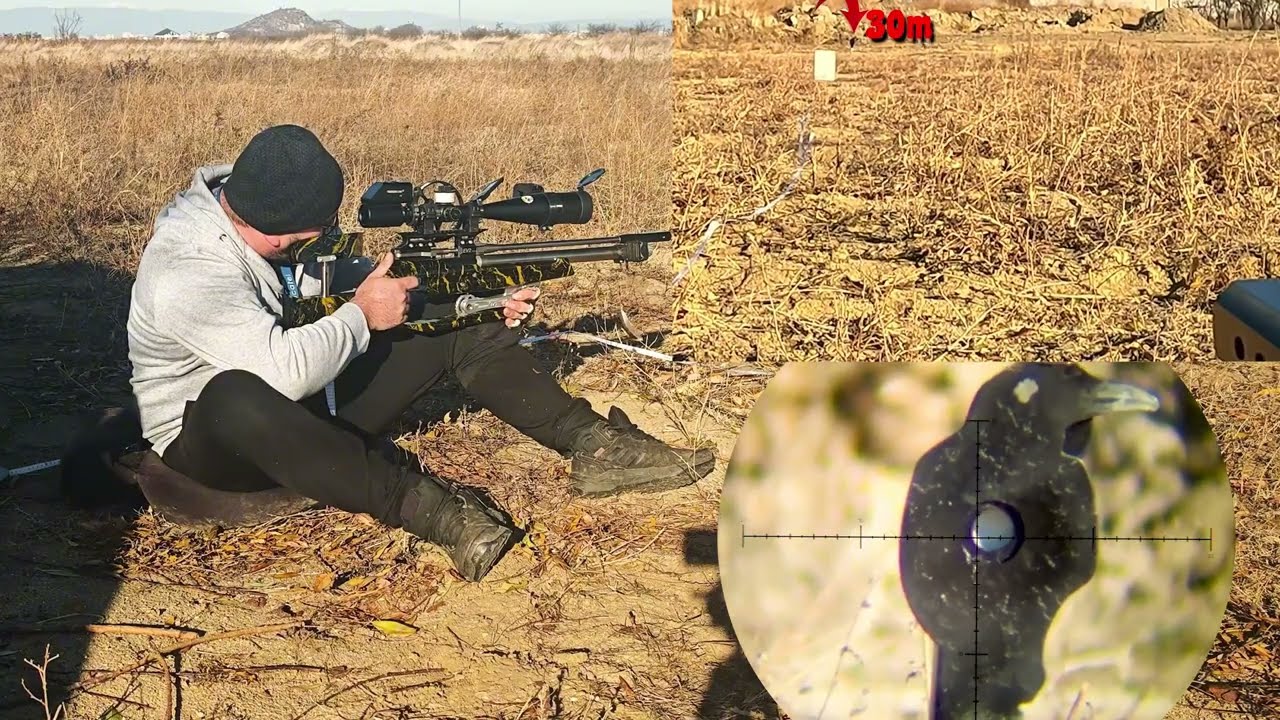 Field Target Training With Triggercam #shoot #fieldtarget #targetshooting #airrifleshooting