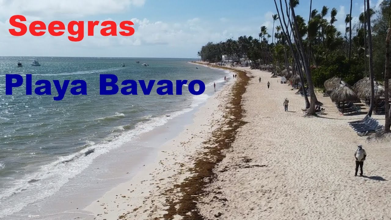 Playa Bavaro | Dom Rep | 2021 Juni | Teil 2
