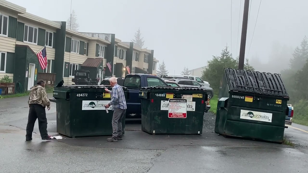 Getting a bear out of the dumpster