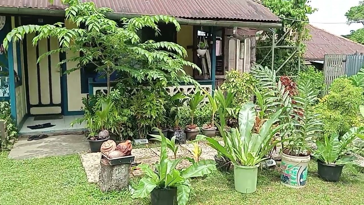 Bruderan CSA SEBEJI - MENYURAI SINTANG, KALIMANTAN BARAT 