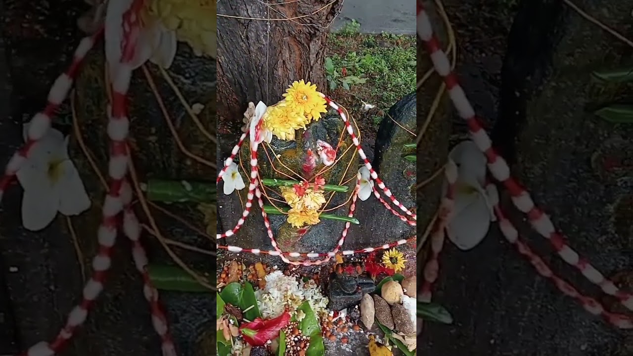 Nagara panchami festival