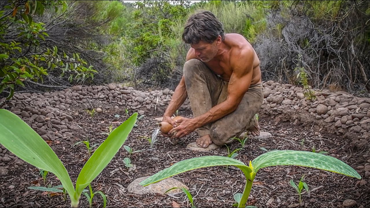 I Started a Primitive Garden (Watch This)