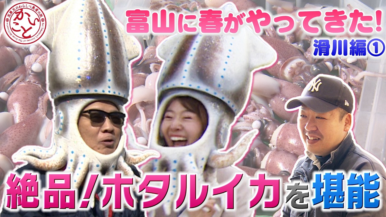 【富山の春】滑川で旬のホタルイカを堪能！【かいこと滑川編①】
