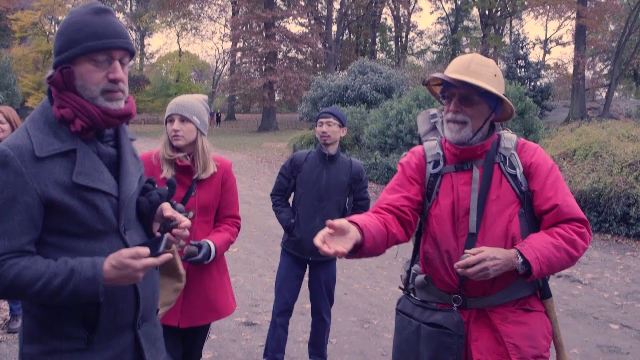 A day in Central Park with Wildman Steve Brill