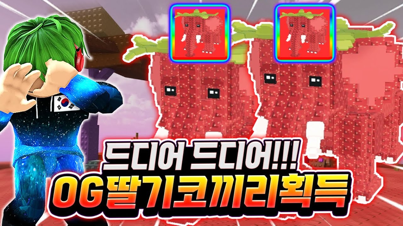 드디어 드디어!!! 딸기 코끼리 획득했습니다!!! 역대급 사거리 + 역대급 범위 + 역대급 데미지... 진짜 시크릿이 맞네 맞아 ㅋㅋㅋㅋㅋ [브레인롯 타워 디펜스]