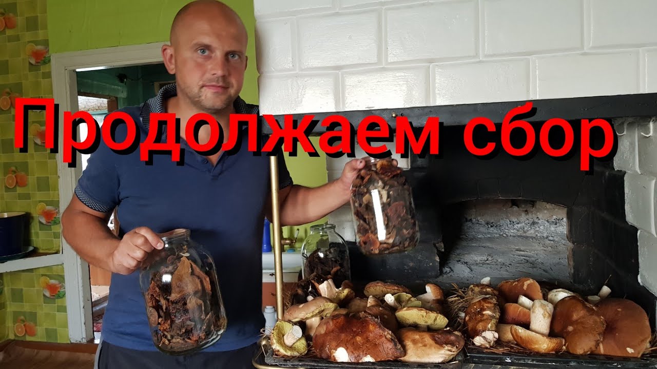 Два дня на хуторе в лесу .Один день принимали гостей , а второй потихоньку начали работать.