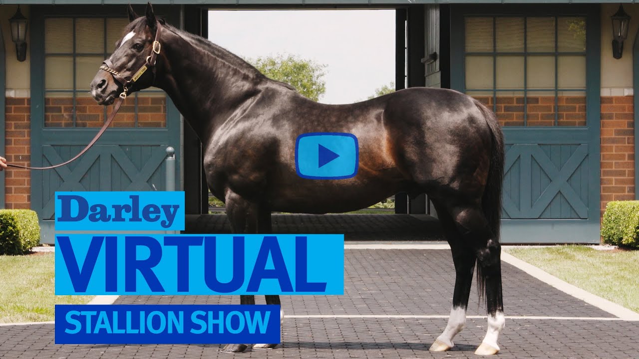 Darley America Virtual Stallion Show