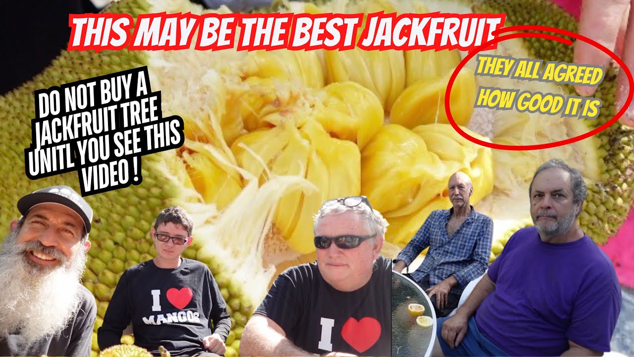 These May Be The Best Tasting Jackfruits In The World