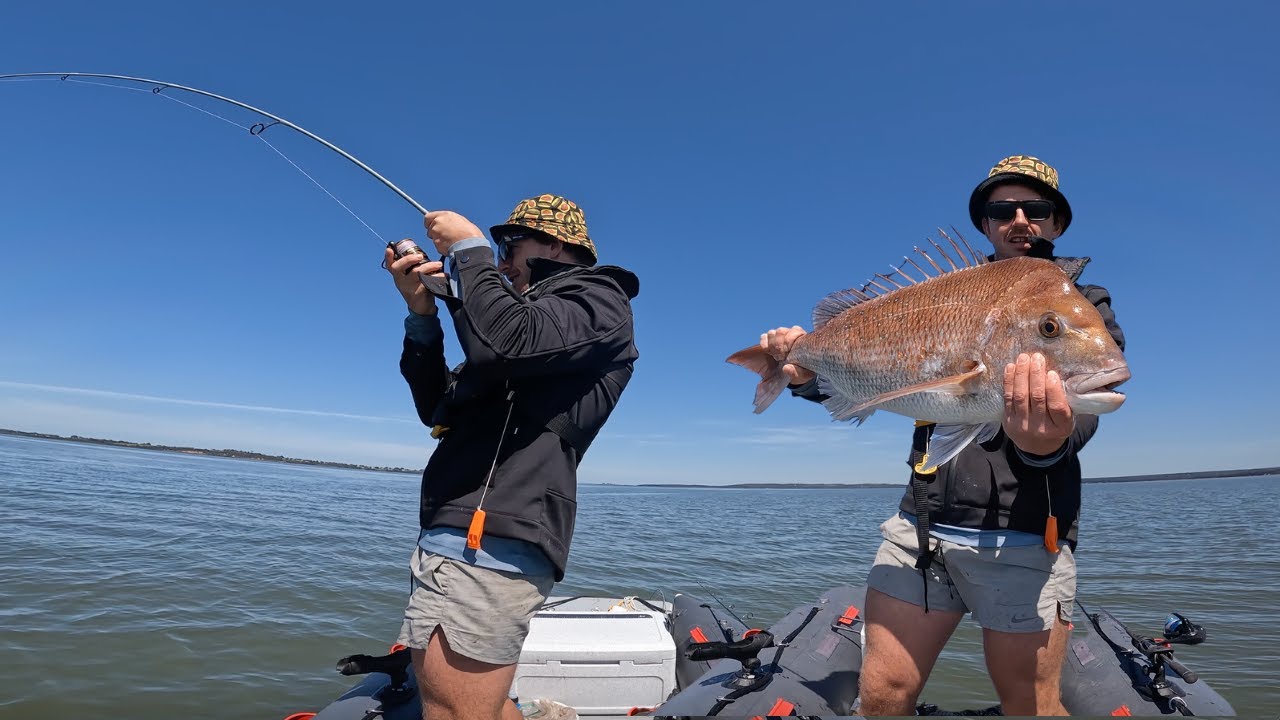 Snapper Season has Arrived, Western port bay