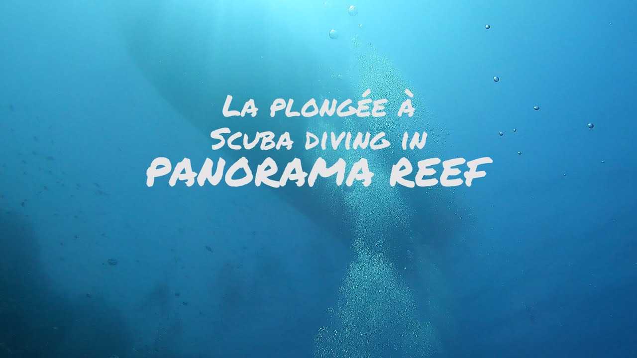 Panorama reef | Crazydivers