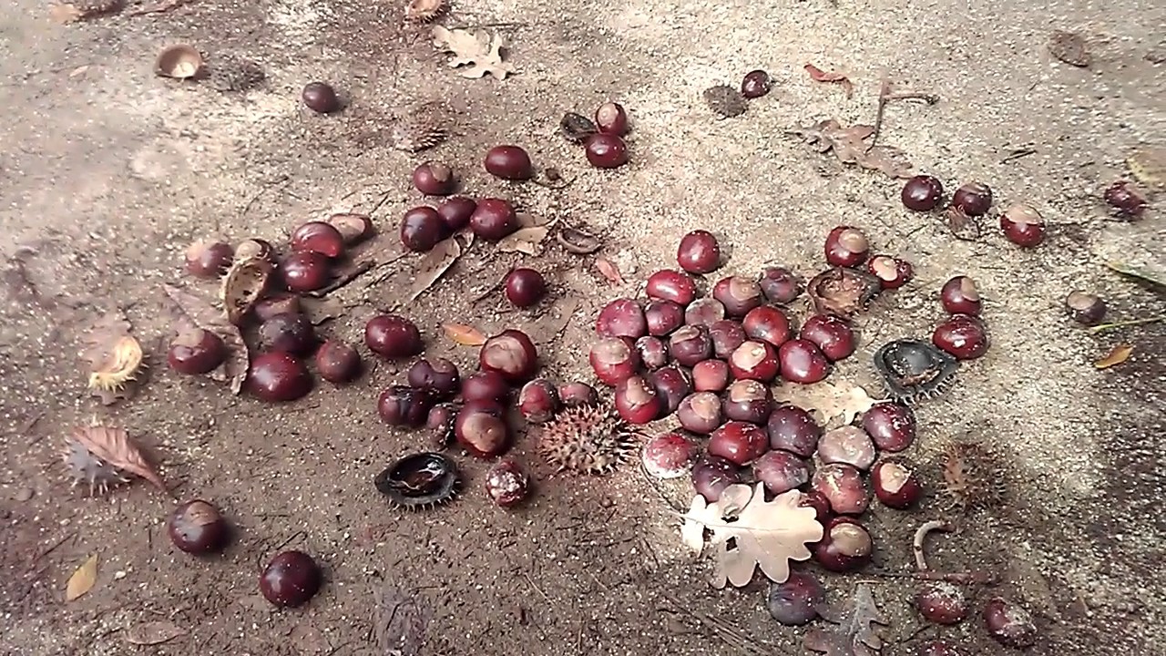 Travelling With Autism - Madrid (Part 2) [ASD / AUTISM]