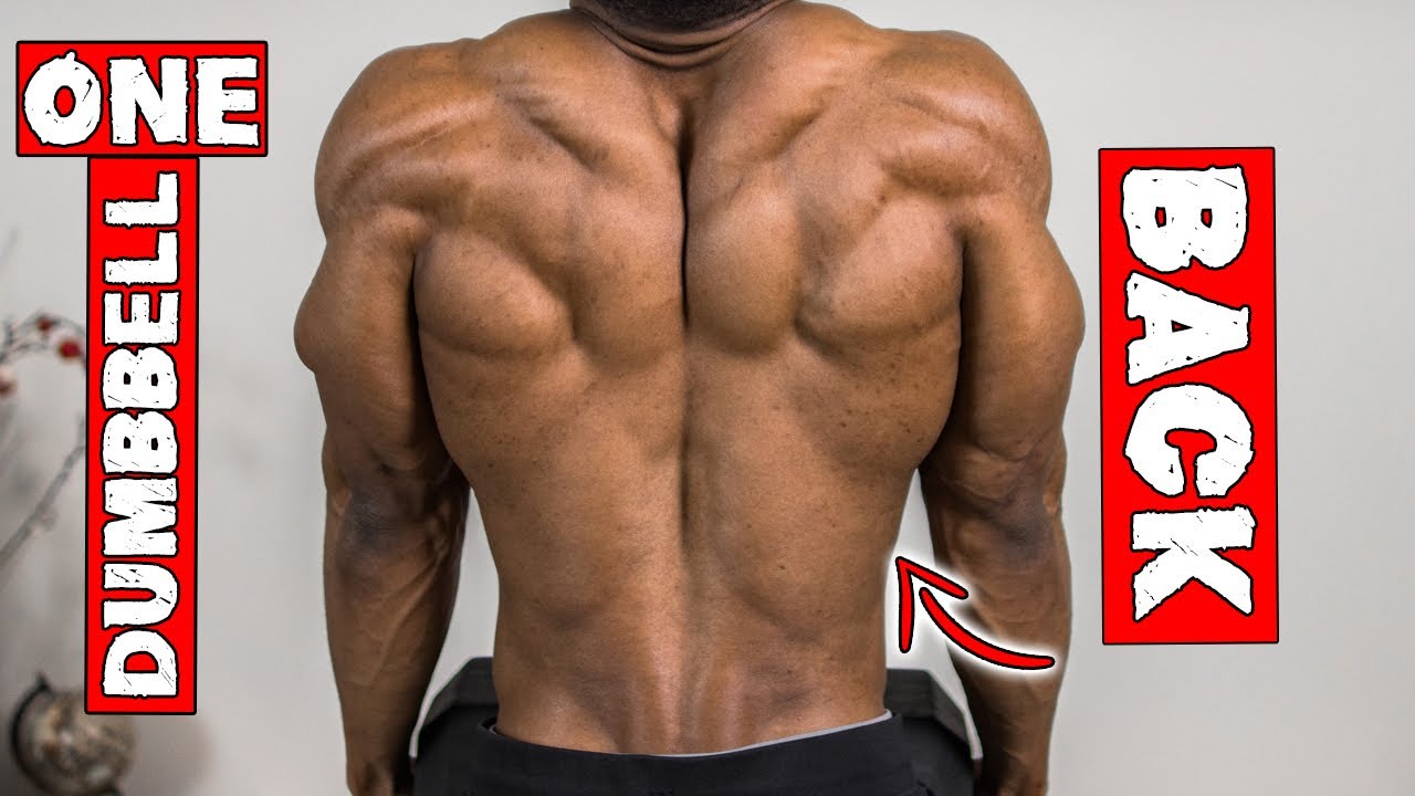 SINGLE DUMBBELL BACK WORKOUT AT HOME | WORKOUT WITH ONLY ONE DUMBBELL!
