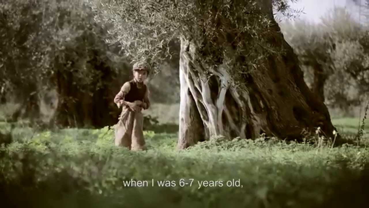 The Olive Tree Will Always Be Here