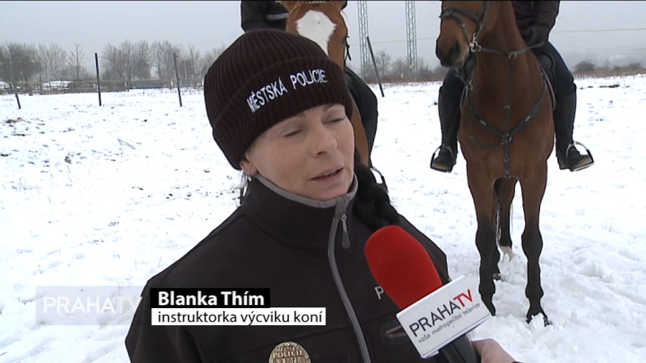 Jízdní skupina městské policie předvedla co umí