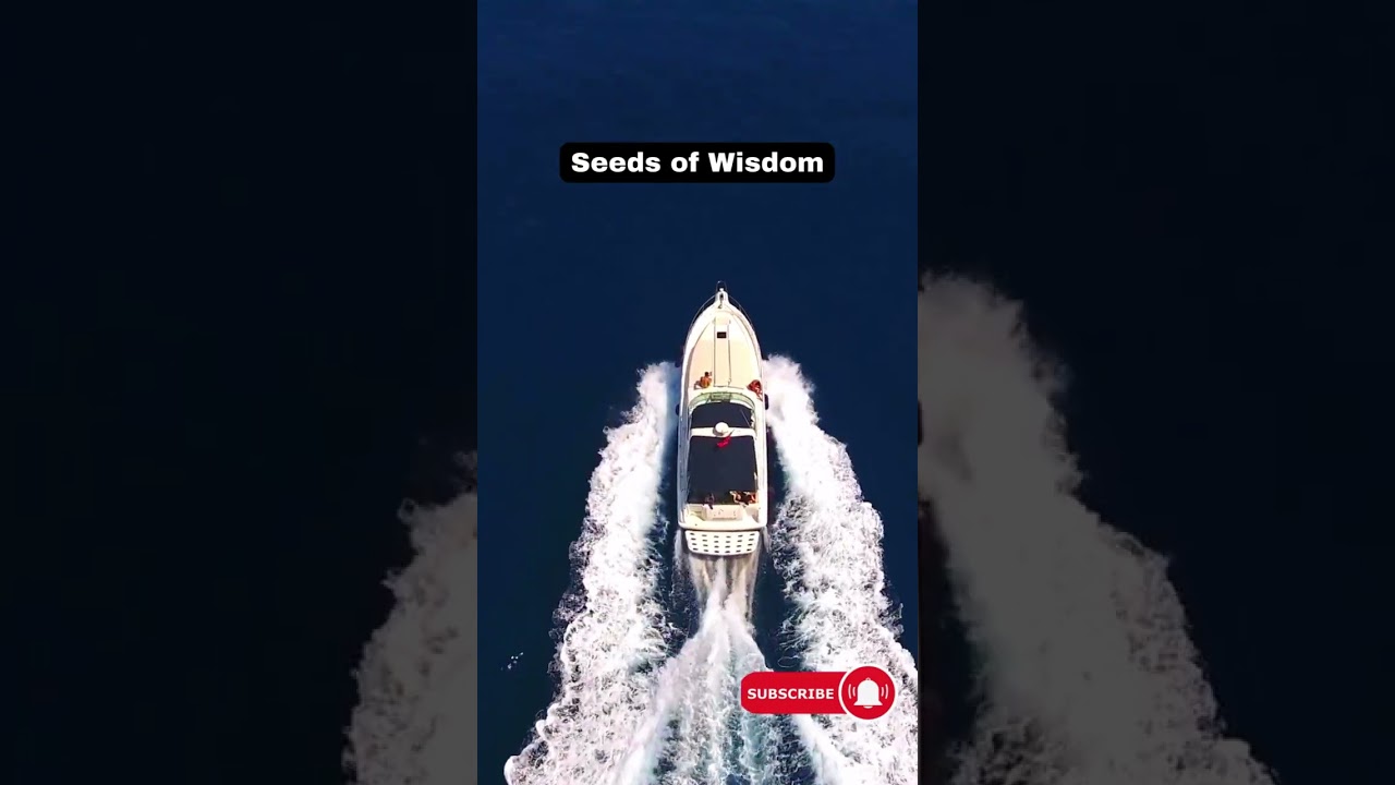 Wisdom Seeds Bloom #wisdom  #growthmindset  #sow  #knowledge  #cultivate  #personalgrowth #goals