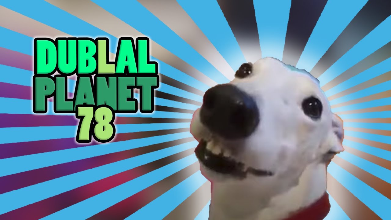 O CACHORRO DA RIMA MAIS RAP&Iacute;DA DO MUNDO EST&Aacute; DE VOLTA