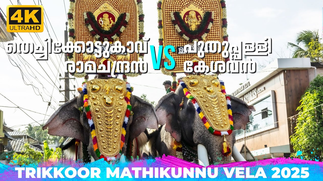 തെച്ചിക്കോട്ടുകാവ് രാമചന്ദ്രൻ vs പുതുപ്പള്ളി കേശവൻ🔥🐘❤️‍🔥Thechikkottukavu Raman Vs Keshavan | 4K