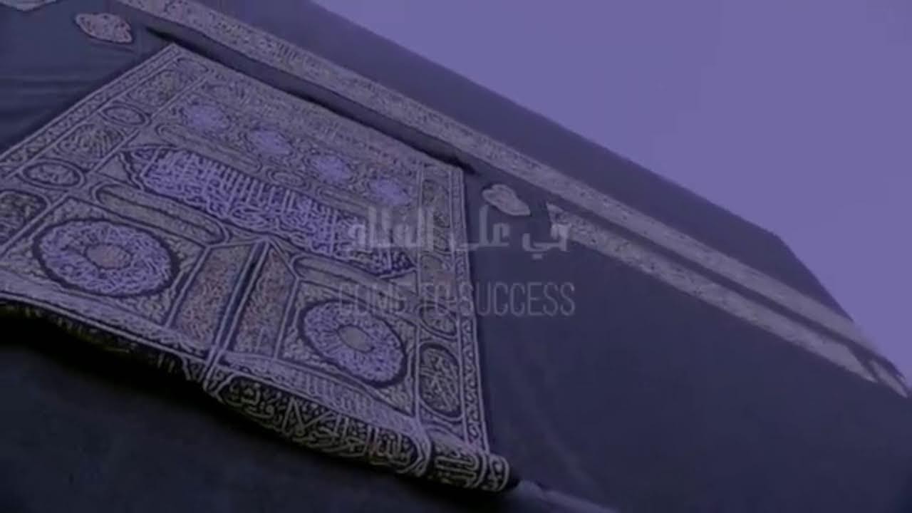 Mercy 2 Humanity