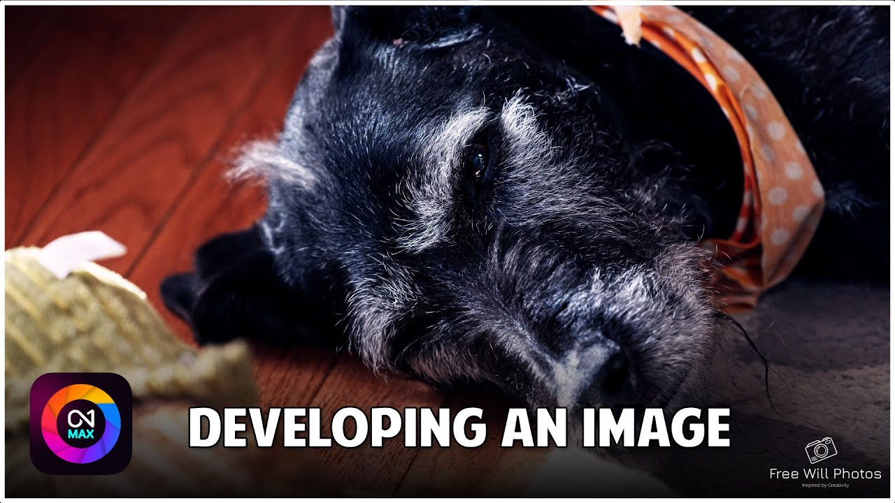 ON1 Photo RAW 2026: How To Develop & Apply a Color Grade for Pro Results!