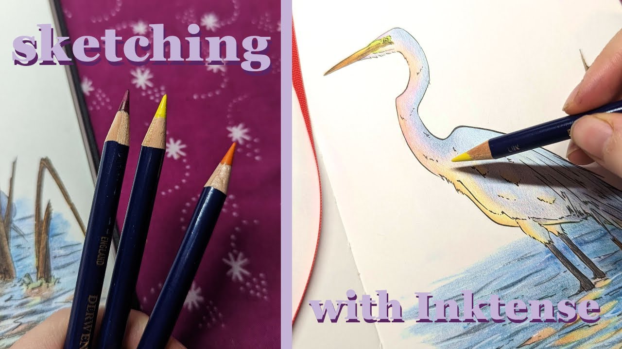Sketchbooking with Derwent Inktense pencils ✨Colouring Egret Brush Pen Illustration✨DRAW WITH ME