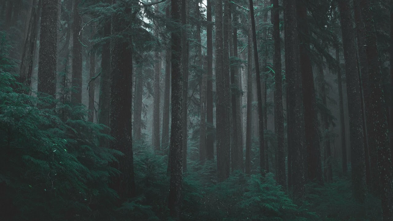 My love - Sia (Slowed & Reverbed)