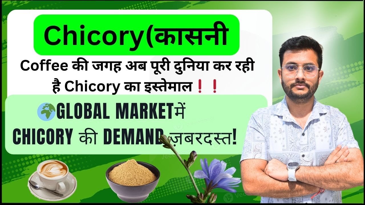 Export Chicory from India ☕ | The Healthier Coffee Alternative | Step-by-Step Guide | CIES