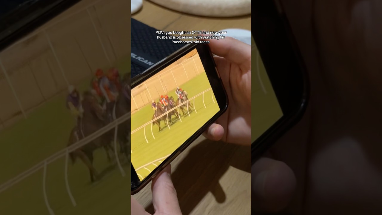 My husband is obsessed with watching his racehorse 